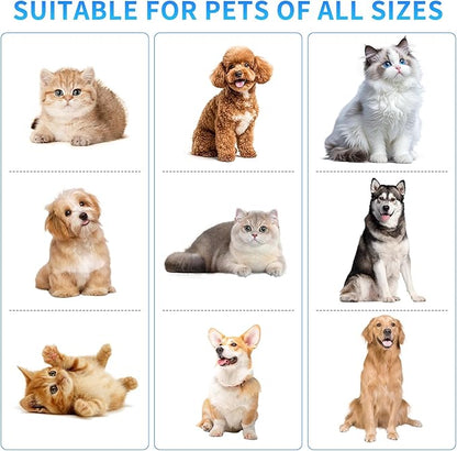 2026 Upgraded Nail Grinder,3-Speed Powerful Electric Pet Nail Trimmer,Rechargeable USB Charging/2 LED Light/Grinding Wheels/Pet Silent Cat Claw Nail Grooming Supplies for Small and Large Dogs and Cats