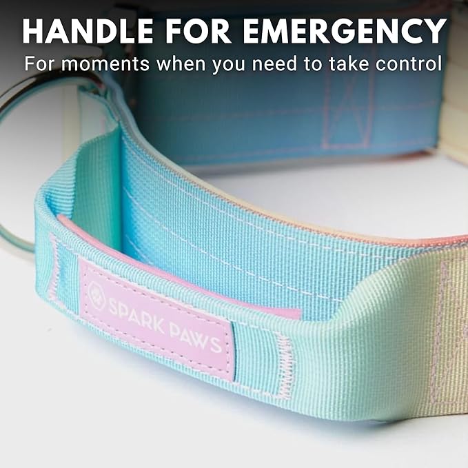 Tactical Dog Collar with Handle - Premium Quality Collar, Robust and Durable Design for Large, Strong Breeds - Pitbulls, Labradors, GSD - Pastel Icing - L - 1.5"
