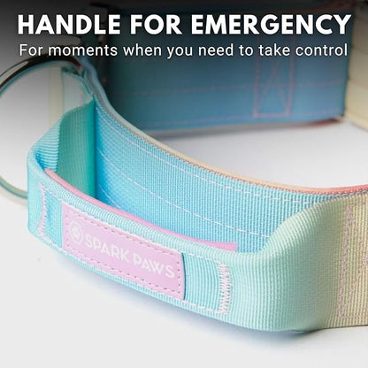 Tactical Dog Collar with Handle - Premium Quality Collar, Robust and Durable Design for Large, Strong Breeds - Pitbulls, Labradors, GSD - Pastel Icing - L - 1.5"