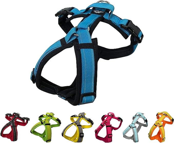 [白山:Hakusan] Zero Dog Harness Basic Type, Safe - No chocking/Hard to Disconnect, Great fit - Easy Put on and Off/Adjustable, Reflector, M - Medium Dog, Two-Tone Black×Turquoise