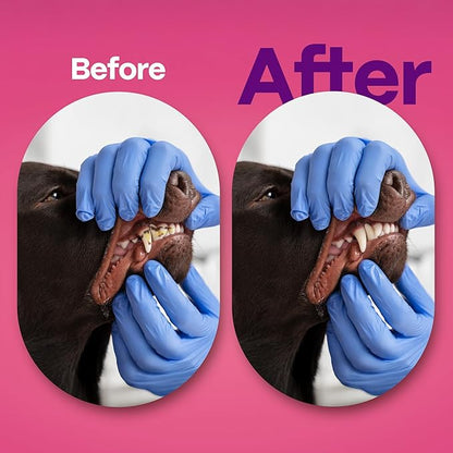 DOCO Dog Teeth Cleaning Wipes Dental Finger Wipes for Cats & Dogs Remove Plaque & Tartar, Freshen Breath, No Rinse, Easy & Effective Pet Tooth Cleaning Kit for Oral Care (Bacon Flavor, 100 Count)