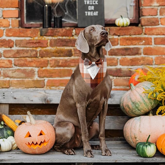 HDGDT Fall Dog Tuxedo Bandana, Orange Plaid Pet Collar with Bowtie, Adjustable Halloween Thanksgiving Dog Tux Costume for Small to Extra Large Pets