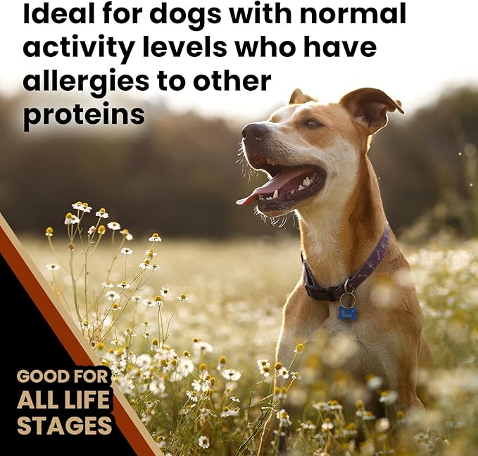 VICTOR Super Premium Dog Food – Chicken Meal & Brown Rice for All Normally Active Dogs of All Life Stages – Gluten-Free, Digestive & Immune Support, Ideal for Dogs with Meat Protein Allergies, 15 lb