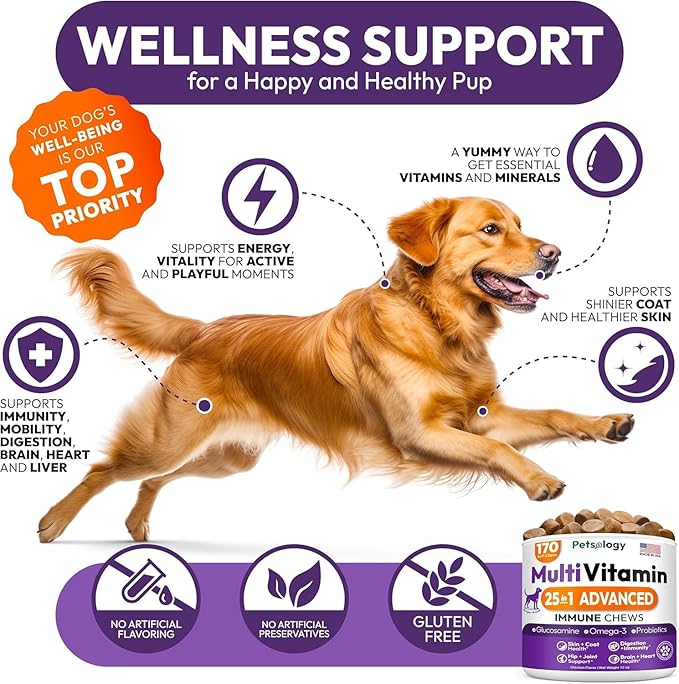 (2 Pack) Dog Multivitamin Chewable - 340 Chews - Dog Vitamins and Supplements with Glucosamine - Hip & Joint, Pet Immune Support, Gut & Heart Health - Senior & Puppy Multivitamin Pet Supplement