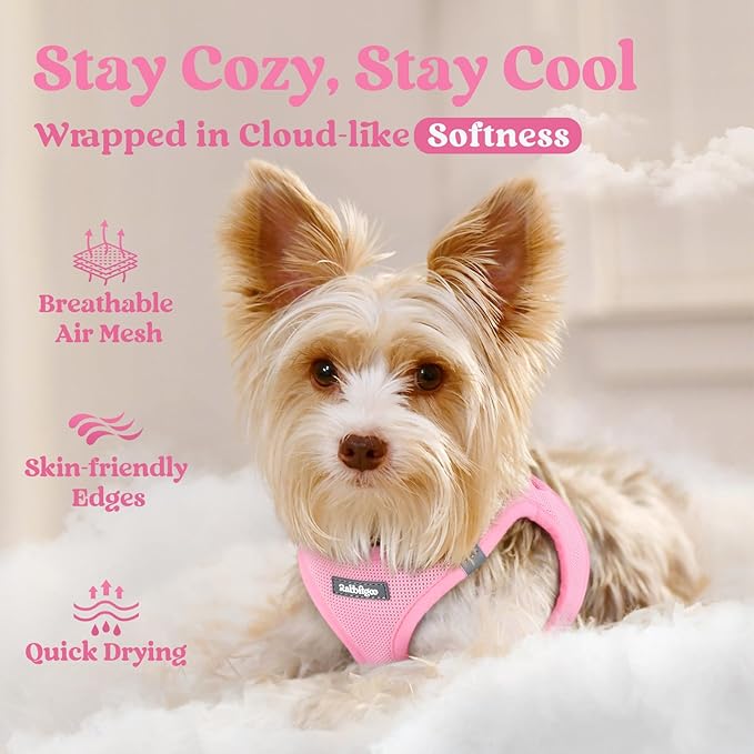 rabbitgoo Small Dog Harness, Step-in Soft Mesh Puppy Vest with Safety Buckle, Breathable Reflective Pet Harness for Small Sized Dogs, Light Pink M