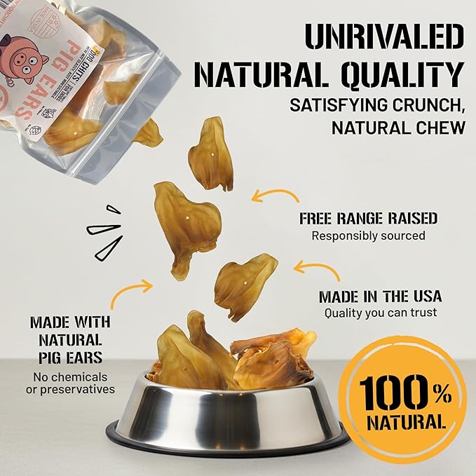 Dog Chits Pig Ears for Dogs – 100% Natural Baked Pig Ear Dog Treats & Training Chews – High Protein, Lower Fat, Grain-Free – Great for Puppies, Dental Support – Medium Size, 15 Pack – Made in USA