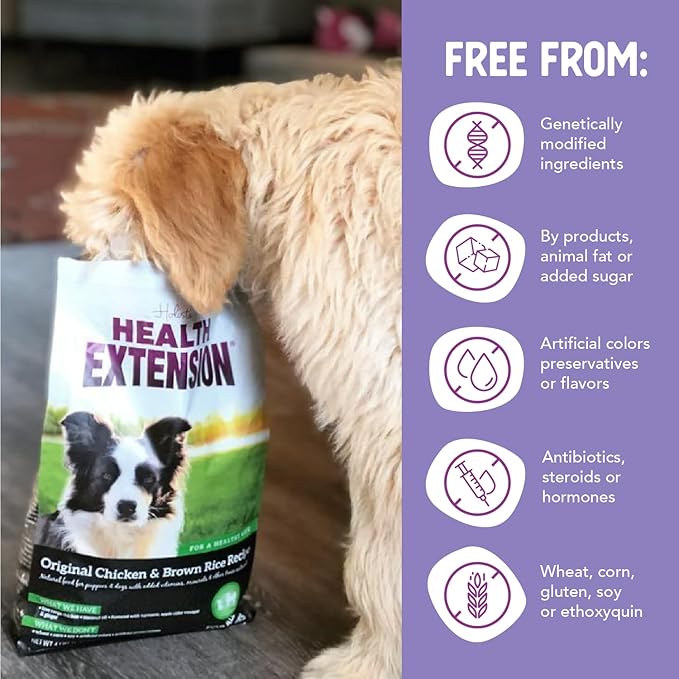 Health Extension Original Chicken & Brown Rice, Protein Packed Formula with Probiotics & Superfoods for Digestion & Coat Health (4 lb Bag)