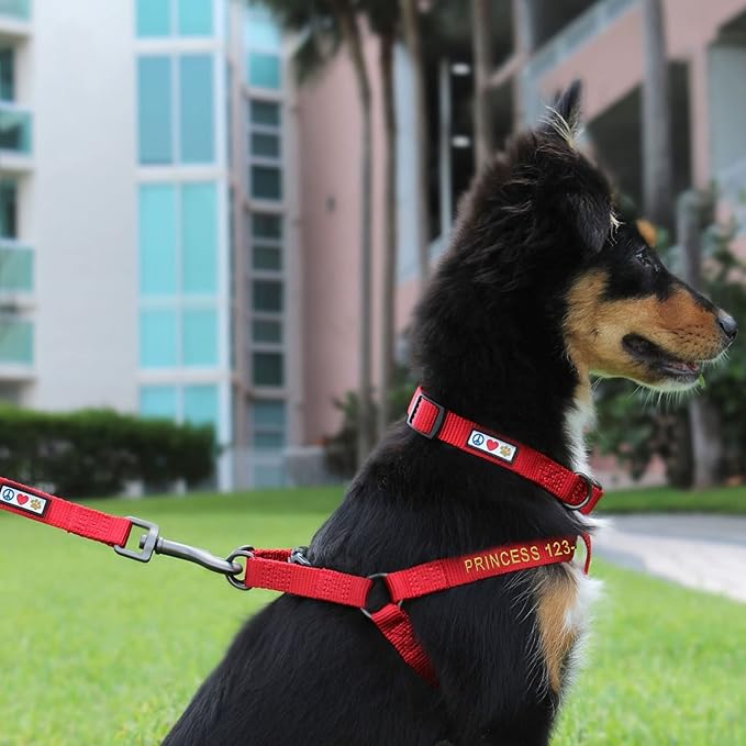 Pawtitas Personalized Dog & Puppy Harness Extra Small Green Custom ID Tag Adjustable No Pull Vest