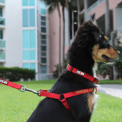 Pawtitas Personalized Dog & Puppy Harness Extra Small Marsala Custom ID Tag Adjustable No Pull Vest