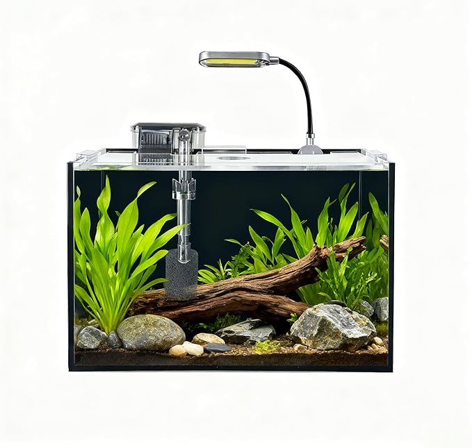 AQUA DAREN 2.5 Gallon Fish Tank Starter Kits, with Led Light, Filter Pump, Cover, Small Fish Tank Betta Aquarium (30x18x20CM)
