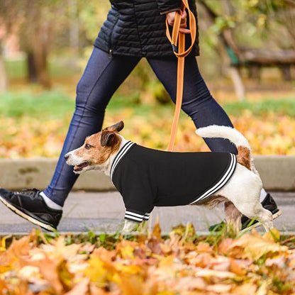 Dog Sweaters for Large Dogs, Brushed Fleece Dog Sweater Baseball Jacket Large Pet Sweater Clothes Soft Warm Boy Girl Pet(Black-L)