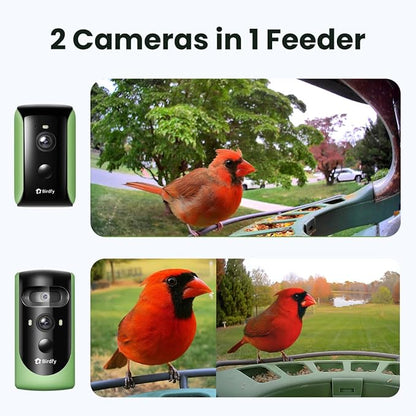 Birdfy 2 Smart Bird Feeder with Camera, AI Identifies Bird Species, 2K Dual-Lens + Side HD Camera for Live Streaming & Feeding View, Solar-Powered Backyard Birdwatching Gift Present