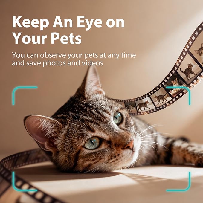 IMIPAW 5L Automatic Cat Feeder with Camera - AI Pet Recognition & Recording, Night Vision, 5G WiFi APP Remote Control, Two-Way Audio & Desiccant Bag, Timed Programmable Food Dispenser for Small Pets