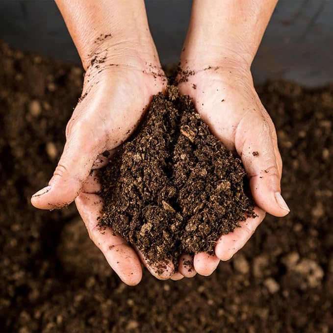 Organic Sphagnum Peat Moss, Added to Soil and Enriches Plant Roots, Gardening Soil Amendment and Carnivorous Plant Soil Media(2qt)