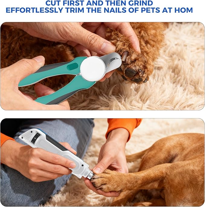 PAPIFEED High Torque Dog Nail Grinder Quiet - 6-Speed Adjustable Dog Nail Trimmers with 2 LED Lights & Dust-Proof Cover, Powerful Motor for Large/Medium/Small Dogs & Cats, Rechargeable - White Kit