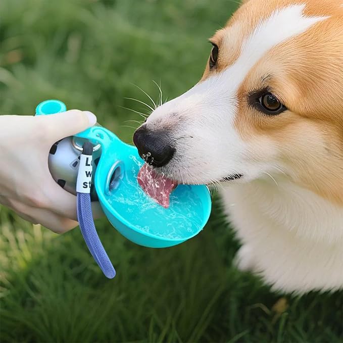 Foldable Pet Water Bottle for Travel, 2 in 1 Portable Dog Water Bottle, Water Bottle for Dogs on Walks, Stainless Steel Bottle & Silicone Bowl, for Walking Hiking Small Dog Water Bottle (Blue)