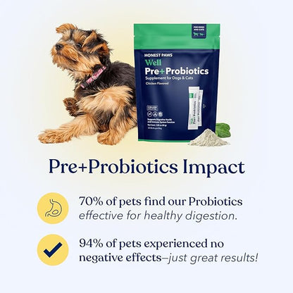 Honest Paws Probiotics for Dogs - Digestive & Immune Support Powder with Prebiotic Made in The USA, Chicken Flavor (30 Sticks)