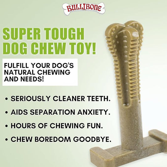 Bullibone SuperBrush: Dog Teeth Cleaning Brushing Toothbrush Stick - Long Lasting Nylon Super Greens Chew Toy for Oral Care and Dental Health