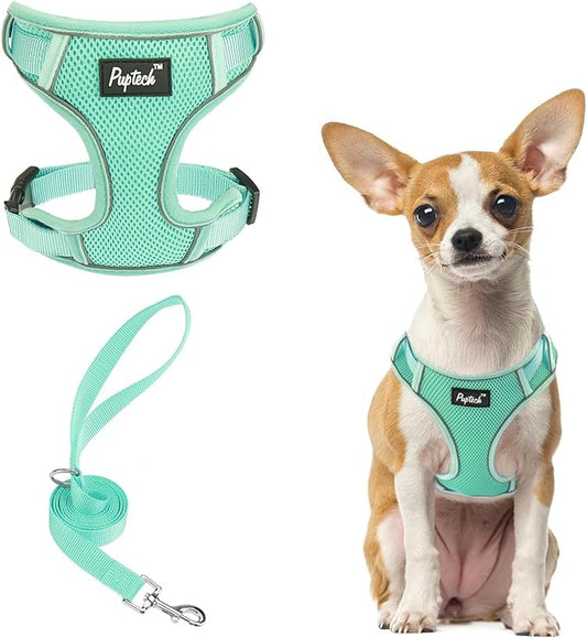 PUPTECK Small Dog Harness and Leash Set, No Pull Adjustable Puppy Cat Harness, Reflective Soft Mesh Pet Vest Small Sized