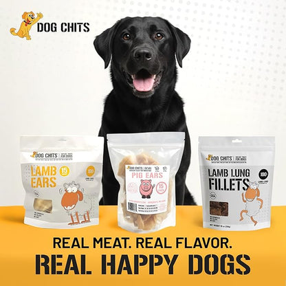 Dog Chits Lamb Ears for Dogs – 100% Natural Baked Lamb Ear Dog Treats – Grain-Free, High Protein, Lower Fat Training Chews – Dental Health & Joint Support – for Large, Medium Dogs – 25 Pack