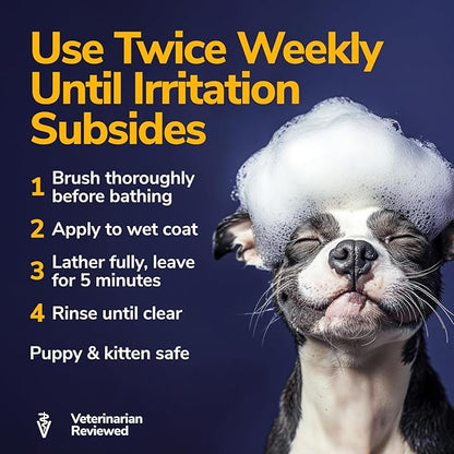 Miracle Vet Medicated Dog Shampoo for Itchy Skin Relief - Dog Allergy Relief, Yeast Infection, Hot Spot & Dry Skin Anti-Itch Treatment, Antifungal for Dogs - Hydrocortisone (16 oz)