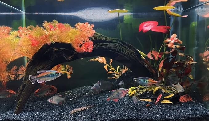 Aquarium Sand, 2lbs Black Fish Tank Sand, Aquarium Gravel Substrate for Aquascaping, Vivariums, Terrariums, Plants and Crafts