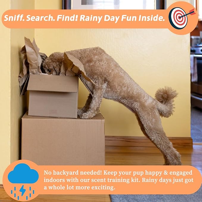 Dog Scent Training Kit with Squeaky Sound – Interactive Nose Work Toys for Dogs, Hide & Seek Scent Games | Mental Stimulation, Anxiety Relief & Obedience Training for All Ages (Yellow)