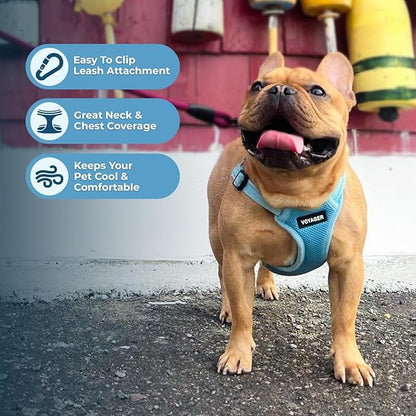 Best Pet Supplies Voyager Mesh Dog Breathable Harness Reflective Stitching, All Weather Adjustable for Walking Training, or Running - Heavy Duty & Durable, Harness (Baby Blue), S