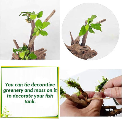 PINVNBY Natural Driftwood for Aquarium Fish Tank Decorations Assorted Branches Bearded Dragon Tank Accessories Terrarium Decor (6.5-12 inches/4 Pack)