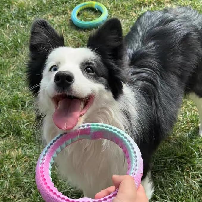 4Pcs Tough Durable Ring Toy for Dogs Tug Ring Strong Rubber Dog Fetch Toy for Small Medium Breeds Multi-Color Pack of 4