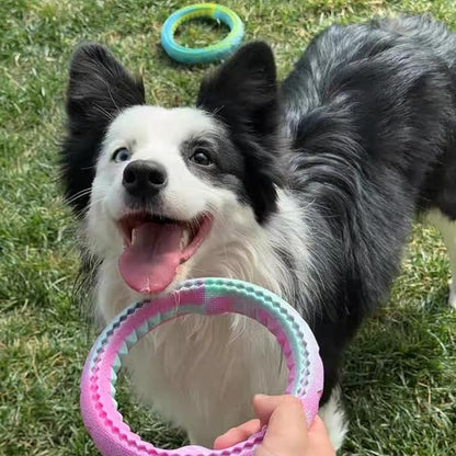 4Pcs Tough Durable Ring Toy for Dogs Tug Ring Strong Rubber Dog Fetch Toy for Small Medium Breeds Multi-Color Pack of 4