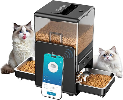CityFlee Automatic Cat Feeder with 5G WiFi for 2 Cats, Adjustable Height for Small Pets, Dual Bowls, 20 Cups/5L Dry Food Auto Pet Dispenser, Voice Record, Timed Cat Feeder with APP Control