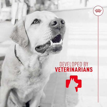 Royal Canin Digestive Dog Supplement Soft Chews for Adult Dogs, 60 Count (Pack of 4)