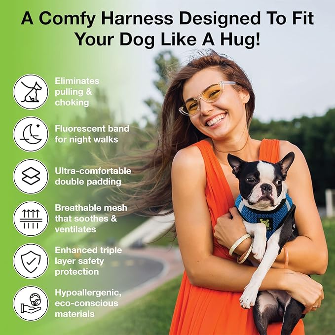 EcoBark Dog Harness - Teacup Dog Harnesses for XXS, XS, and Small Dogs - Step in Mesh Mini Body Halter - Puppy to Senior Dogs - Toy Breed Dog Harness Vest Under 5 pounds lbs (XXXS, Bright Blue)