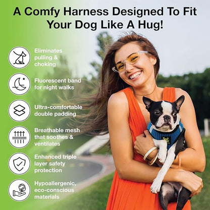 EcoBark Dog Harness - Teacup Dog Harnesses for XXS, XS, and Small Dogs - Step in Mesh Mini Body Halter - Puppy to Senior Dogs - Toy Breed Dog Harness Vest Under 5 pounds lbs (XXXS, Bright Blue)