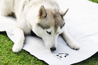 Washable Pee Pads for Dogs XXL (2 Pack), Reusable Puppy Training Pads, Ultra Absorbent & Waterproof Pet Mat for Senior Dogs, Non-Slip, Floor & Furniture Protector (36"x48") by Trendy Den Creations