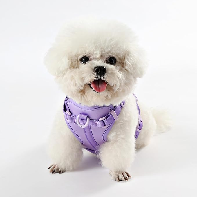 HNS1001H Arlo Small Adjustable Soft Padded No Pull Pet Harness with 3 Buckles and 3 Leash Clips, Bramble