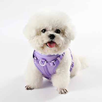 HNS1001H Arlo Small Adjustable Soft Padded No Pull Pet Harness with 3 Buckles and 3 Leash Clips, Bramble