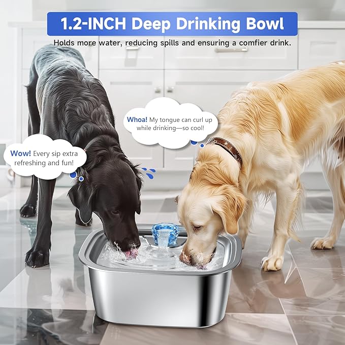 3 Gallon Dog Water Fountain for Large Dogs, 12L Stainless Steel Pet Water Fountain Inside, Automatic Dog Water Bowl Dispenser Dog Drinking Fountain with 2 Filters for Multiple Pets