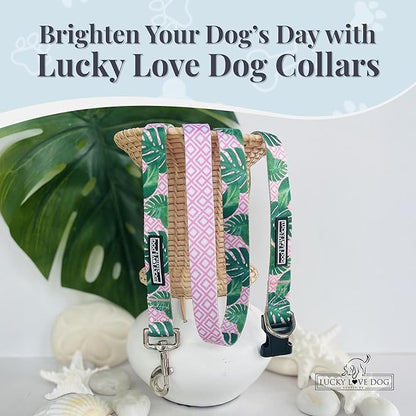 Lucky Love Dog, Tropical Matching Dog Collar & Leash Set, Soft & Comfy, Vivid Pink Color Collar and Leash for Female Male Dogs - (Large, Laguna Combo)