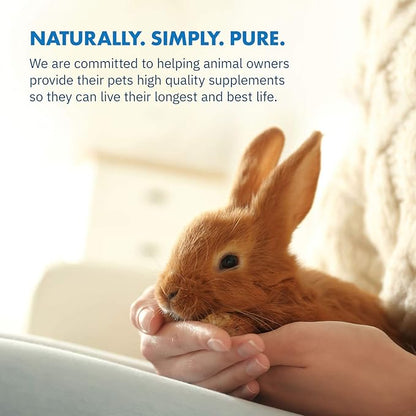Equa Holistics HealthyGut™ Probiotics for Rabbits Dietary Supplement, All-Natural Digestive System Formula (600 Servings)