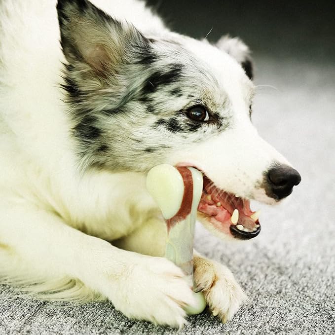 Tikaton Indestructible Dog Chew Toys for Aggressive Chewers, Beef Flavor Durable Dog Teething Chew Toys Bones for Large/Medium/Small Puppies