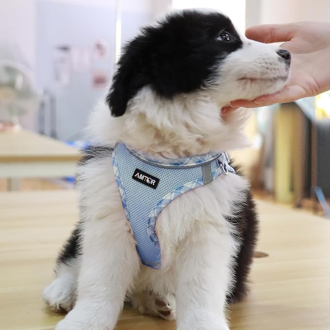 AMTOR Small Dog Harness with Leash Set, No Escape Easy Walk Puppy Harnesses for Training Walking, Step-in Reflective Soft Dogs Vest for XS S Medium Extra-Small Large Sized Dog(XS Size,Blue/White)