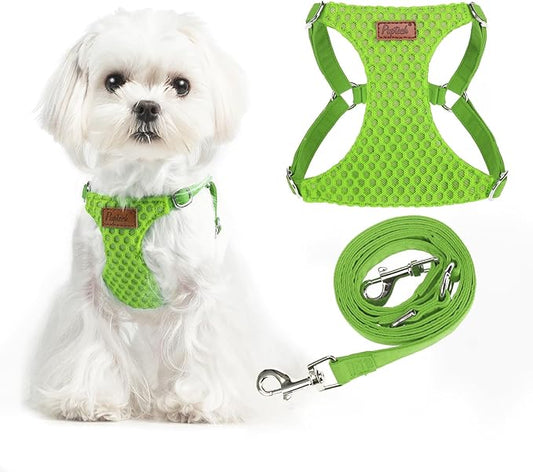 PUPTECK Dog Harness and Leash Set Small Sized, Step-in Cute Puppy Harness, Soft Lightweight Padded Vest, Escape Proof No Pull Pet Harnesses Easy for Walking, Green, XXS