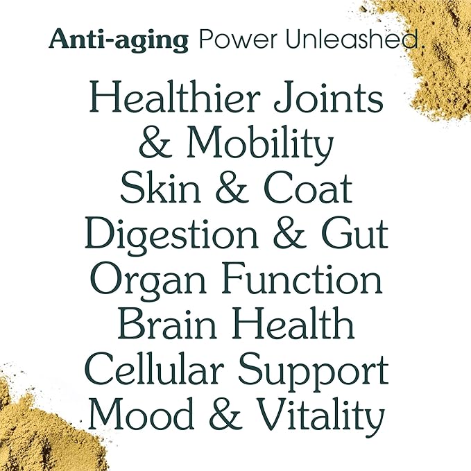 Adult Dog Powder Supplement & Food Topper – 46 Ingredients for Gut, Immune & Brain Health – Daily Longevity Multivitamin for Whole Body Wellness | 120 Scoops