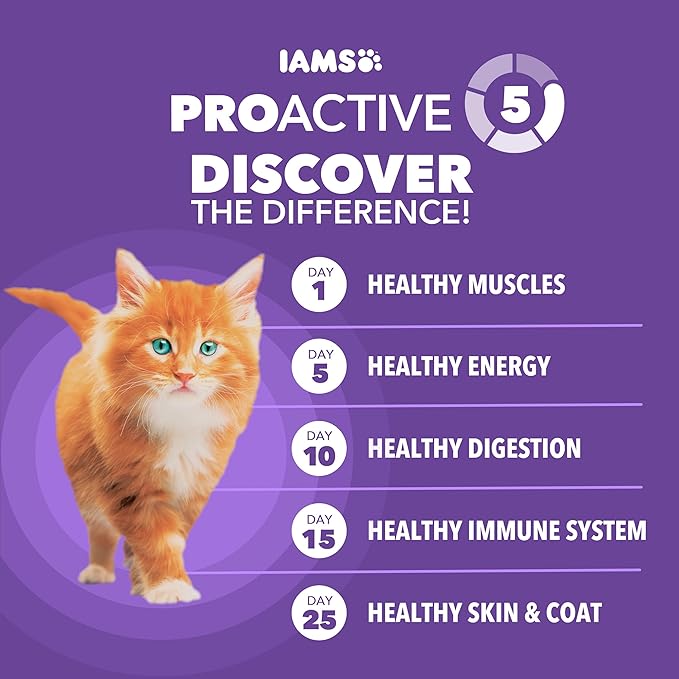 IAMS Proactive Health Healthy Kitten Dry Cat Food with Chicken, 16 lb. Bag