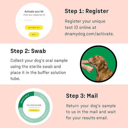 DNA MY DOG Vet-Recommended and Most Accurate Allergy Test for Itchy, Sensitive Dogs | Cheek Swab – The Gold Standard of Testing | Tests for All Common Food & Environmental Allergens | Custom Report