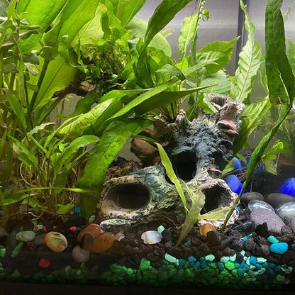 DoubleWood 2 PCS Decaying Trunk Betta Fish Driftwood Resin Crafts Ornament with Holes & Aquarium Caves Fish Tank Wood Decor