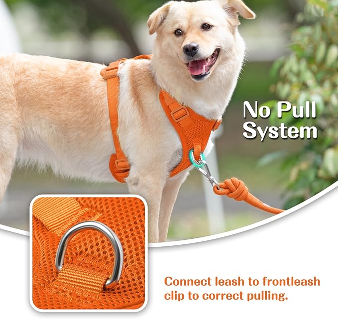 No Pull Dog Harness for Small Medium Large Dogs - Adjustable 2 Layer Mesh Dog Vest with Dual Clip, Escape Proof, Quick Release, Lightweight Breathable Mesh for Walking Hiking (Orange,M)