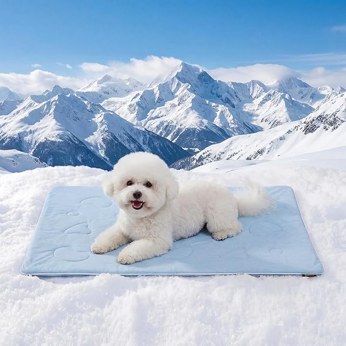 ZOMISIA Cooling Blanket for Small Dogs - High Cold Washable Cat Blanket, Travel Soft Pet Summer Essentials, Blue, 25"x35"